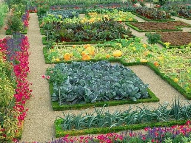 Декоративный огород – художественный подход к овощным грядкам