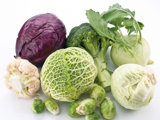 Бизнес план теплицы по выращиванию овощей